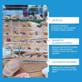 Acrylic Shells Display Case Seashells Holder For Collectors Seashells Presentation Box