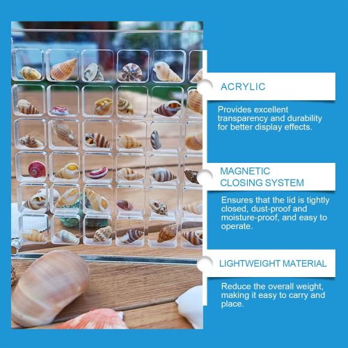 Acrylic Shells Display Case Seashells Holder For Collectors Seashells Presentation Box