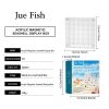 Acrylic Shells Display Case Seashells Holder For Collectors Seashells Presentation Box