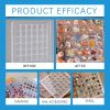 Acrylic Shells Display Case Seashells Holder For Collectors Seashells Presentation Box